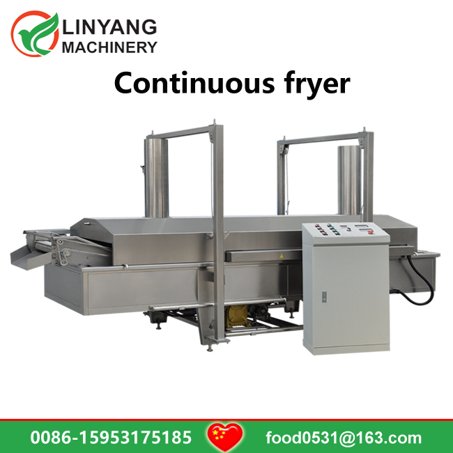 Continuous fryer